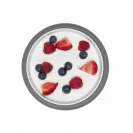 OXO Miseczka z silikonową przyssawką Grey