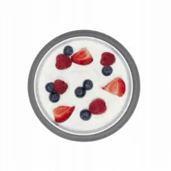 OXO Miseczka z silikonową przyssawką Grey