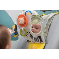 Taf Toys panel interaktywny do samochodu Savannah 12765