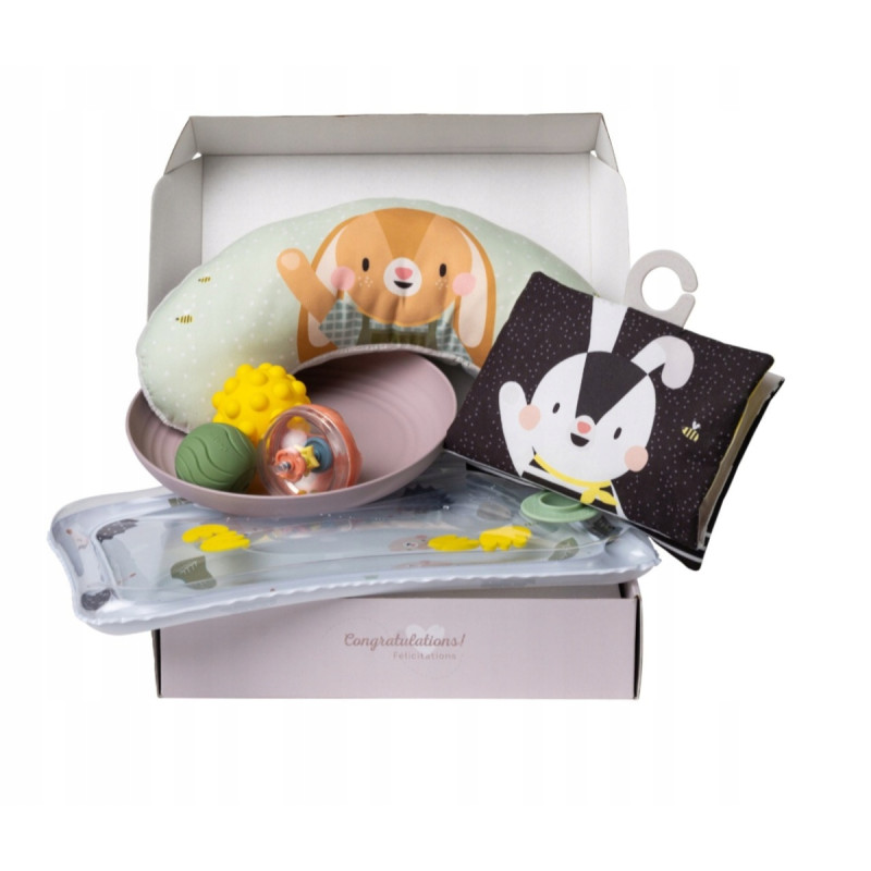 Taf Toys Zestaw prezentowy niezbędnik do leżenia na brzuszku 13435