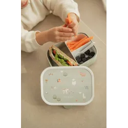 Little Dutch Zestaw lunchbox i bidon Fairy Wonders