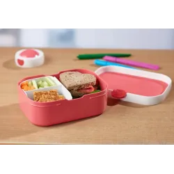 Little Dutch Lunchbox Fairy Wonders