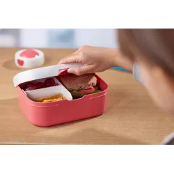 Little Dutch Lunchbox Fairy Wonders