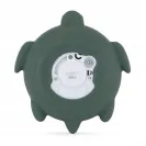 petite termometr Turtle Terry