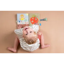 taf ksiązeczka pierwsza zajmujaca 13355 taf ksiązeczka pierwsza zajmujaca 13355