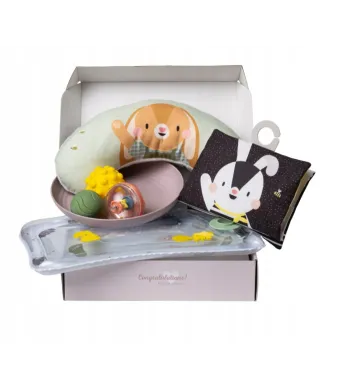 Taf Toys Zestaw prezentowy niezbędnik do leżenia na brzuszku 13435