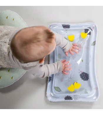 Taf Toys Zestaw prezentowy niezbędnik do leżenia na brzuszku 13435