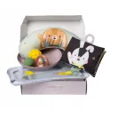 Taf Toys Zestaw prezentowy niezbędnik do leżenia na brzuszku 13435