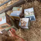 Little Dutch Wieża Little Farm LD7139