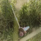 Drewniany Pchacz z motylkiem Little Dutch - Fairy Garden LD7343