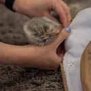 Petite&mars śpiworek COMFY KHAKI do wózka sanki spacerówka