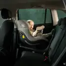 Maluch przypięty w Avionaut AeroFIX – komfort i ochrona podczas jazdy