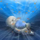 ZAZU Lampka Projektor Oceanu OTTO Wydra