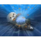 ZAZU Lampka Projektor Oceanu OTTO Wydra