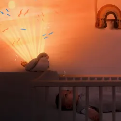 Zazu SHALLY projektor Zachód Słońca Ptak Zazu SHALLY projektor Zachód Słońca Ptak