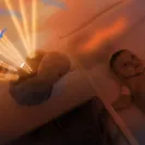 Zazu SHALLY projektor Zachód Słońca Ptak