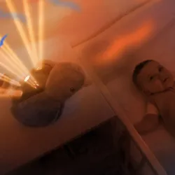 Zazu SHALLY projektor Zachód Słońca Ptak Zazu SHALLY projektor Zachód Słońca Ptak