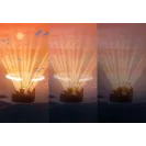 Zazu SHALLY projektor Zachód Słońca Ptak