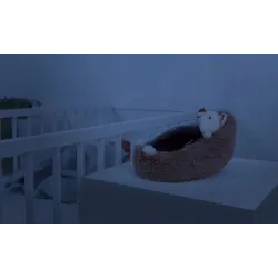 Zazu SHALLY projektor Zachód Słońca Ptak Zazu SHALLY projektor Zachód Słońca Ptak