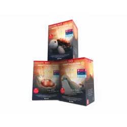 Zazu SHALLY projektor Zachód Słońca Ptak Zazu SHALLY projektor Zachód Słońca Ptak