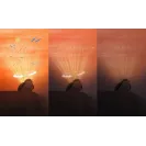 Zazu SHALLY projektor Zachód Słońca Ptak