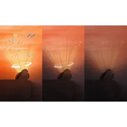 Zazu SHALLY projektor Zachód Słońca Ptak Zazu SHALLY projektor Zachód Słońca Ptak