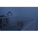 Zazu SHALLY projektor Zachód Słońca Ptak