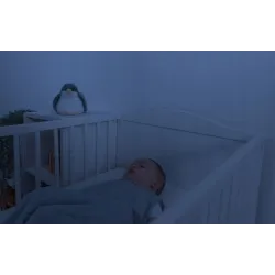 Zazu SHALLY projektor Zachód Słońca Ptak Zazu SHALLY projektor Zachód Słońca Ptak