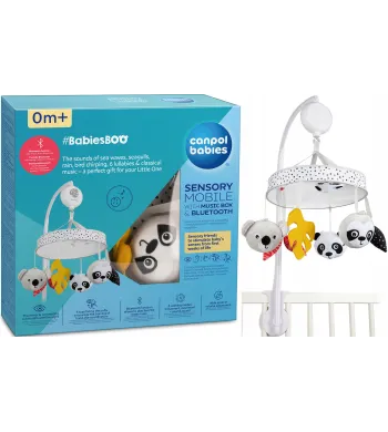 Canpol Sensoryczna karuzela z pozytywką/Bluetooth Babies Boo 68/093